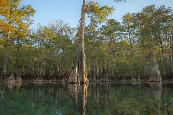 Private Panama City Beach Photography Excursion — Emerald Coast Photo Tour photo 3