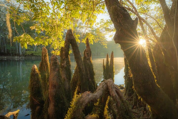 Private Panama City Beach Photography Excursion — Emerald Coast Photo Tour