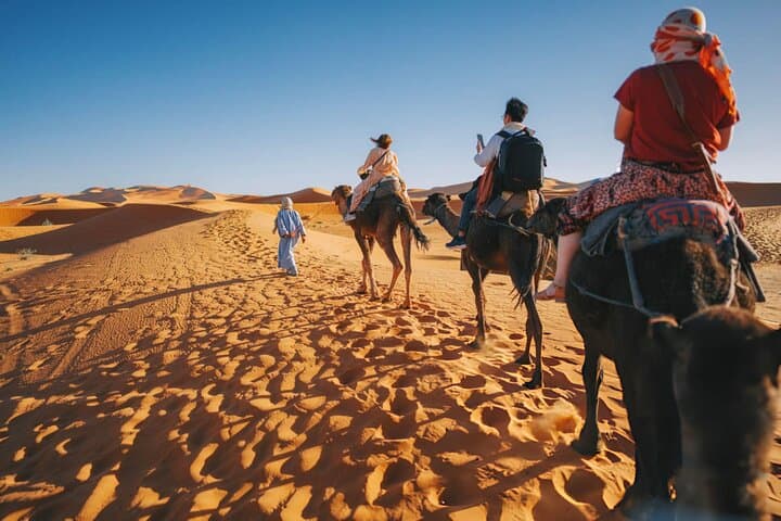 Agafay Desert Sunset Camel Ride with Starry Dinner & Fire Show near Marrakech