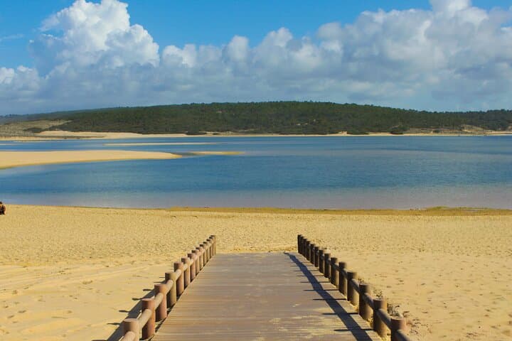 Explore Arrábida Natural Park & Sesimbra: Coastal Cliffs, Bays & Dolphins from Lisbon photo 2