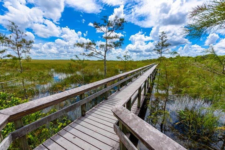 Everglades Self-Guided Driving Tour: GPS Audio Guide from Ernest F. Coe