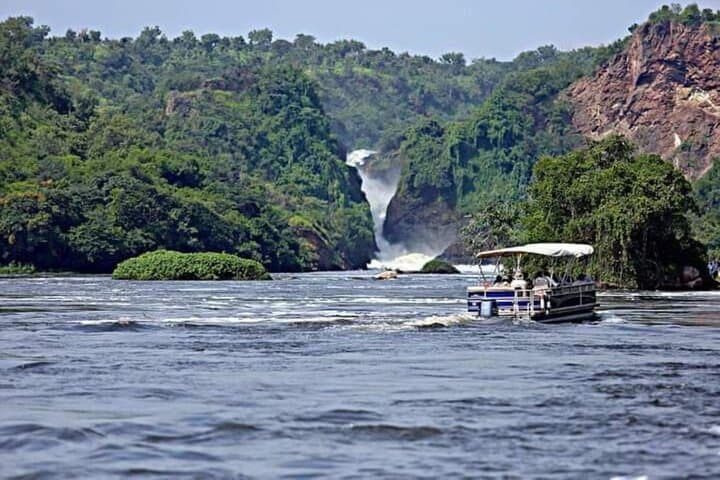 3-Day Gorilla Trekking & Lake Bunyonyi Adventure — Bwindi Mountain Gorillas and Canoe Escape photo 5