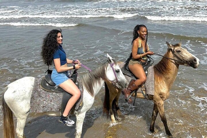 St. Lucia Historical Horseback Riding: Ruins, Rainforest and Beach Swim photo 2