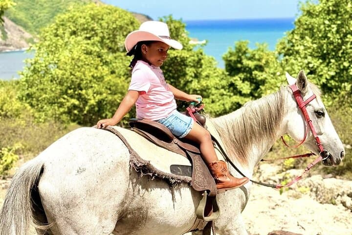 St. Lucia Historical Horseback Riding: Ruins, Rainforest and Beach Swim