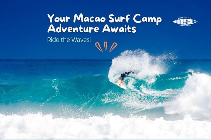 Master the Waves: A Full-Day Surf Camp in Punta Cana