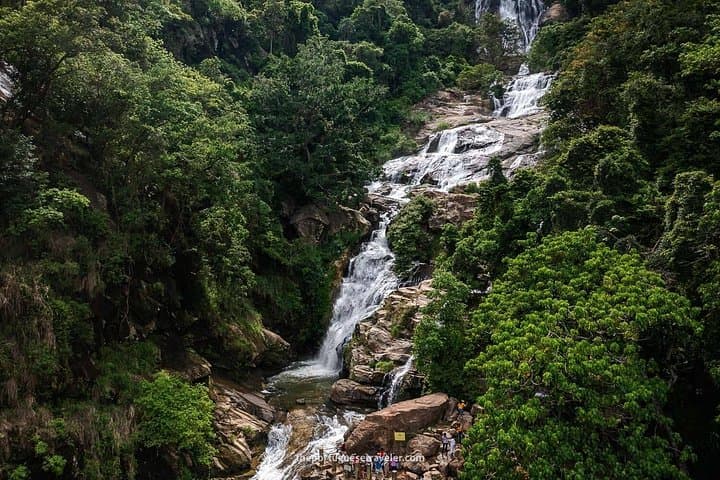 Ella Day Tour: Nine Arch Bridge, Little Adam’s Peak & Halpewatte Tea Factory photo 2