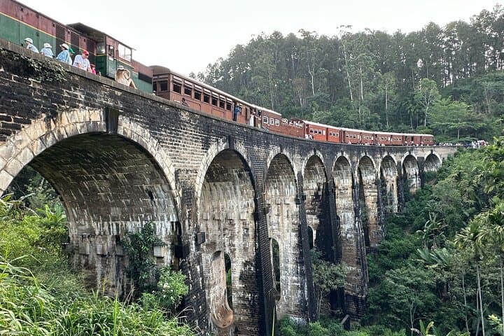 Ella Day Tour: Nine Arch Bridge, Little Adam’s Peak & Halpewatte Tea Factory photo 4