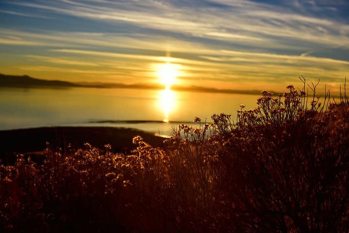 Antelope Island Sunset Wildlife Expedition: Great Salt Lake Tour photo 5