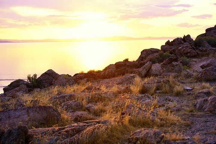 Antelope Island Sunset Wildlife Expedition: Great Salt Lake Tour photo 6