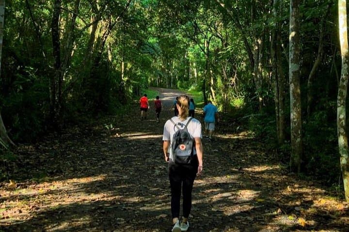 Morning Cerro Ancon Hike and Mi Pueblito Breakfast in Panama City photo 2