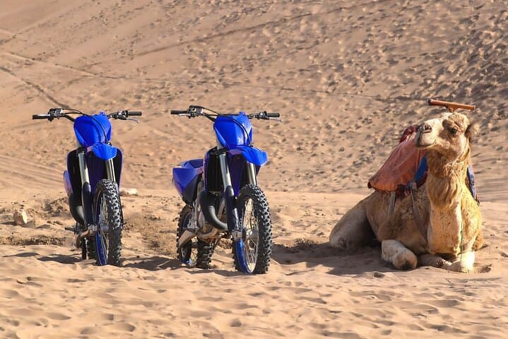 Agadir Dunes Motocross Ride: 90-Minute 700 Raptor Beach & Forest Tour photo 4