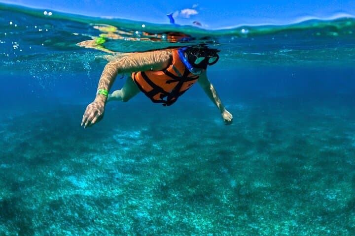 Cozumel Reef Snorkeling Tour: El Cielo, Palancar, Chankanaab & Paradise Reefs photo 2