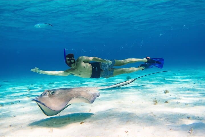 Cozumel Reef Snorkeling Tour: El Cielo, Palancar, Chankanaab & Paradise Reefs photo 5