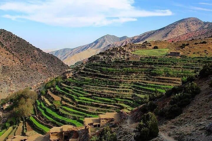 Three Valleys Day Trip from Marrakech — Imlil, Ourika & Asni Atlas Experience photo 6