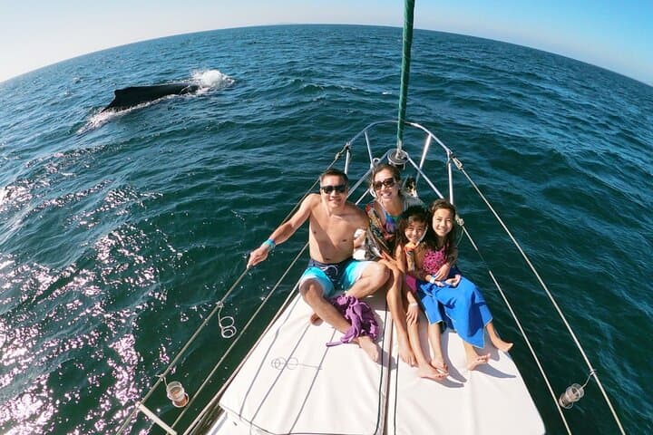 Punta Mita Humpback Whale Courtship Cruise — Private 2.5-Hour Wildlife Tour