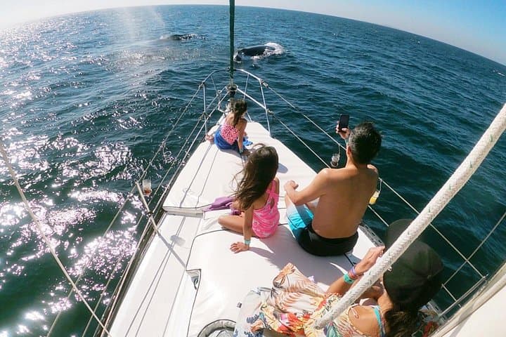 Punta Mita Humpback Whale Courtship Cruise — Private 2.5-Hour Wildlife Tour photo 3