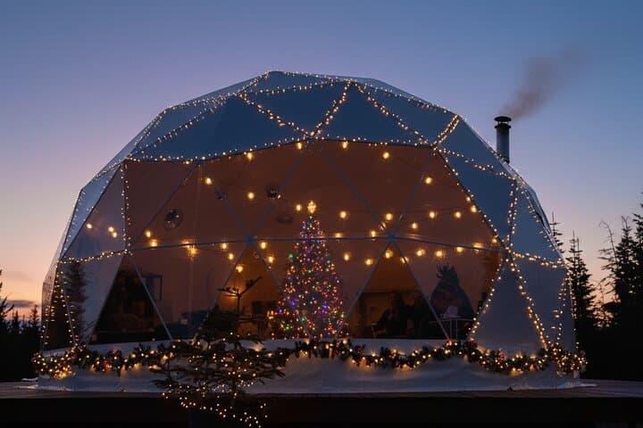 Whistler Holiday Sleigh Ride: Snowcoach Sleigh to a Festive Dome photo 2