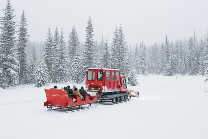 Whistler Holiday Sleigh Ride: Snowcoach Sleigh to a Festive Dome photo 3