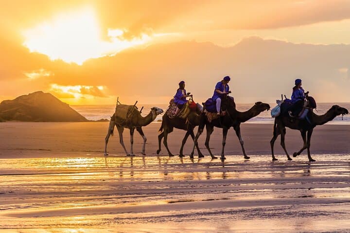 Essaouira Day Trip from Marrakech — Argan Co-ops, Medina Strolls & Atlantic Beaches photo 3