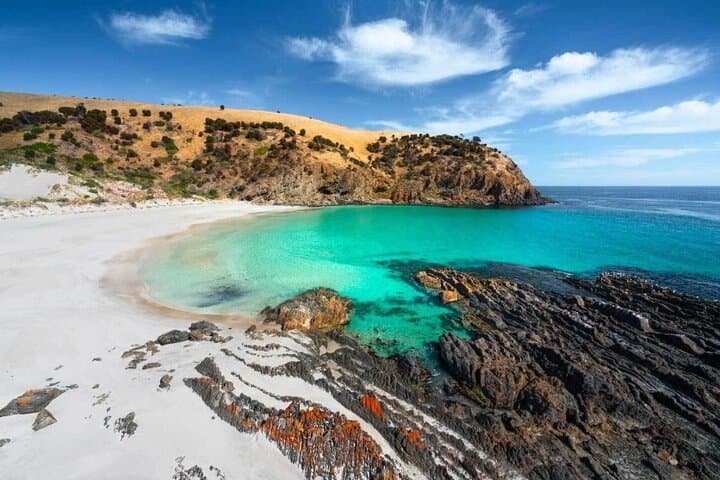 Luxury 2-Day Private Kangaroo Island Wildlife & Coastal Tour