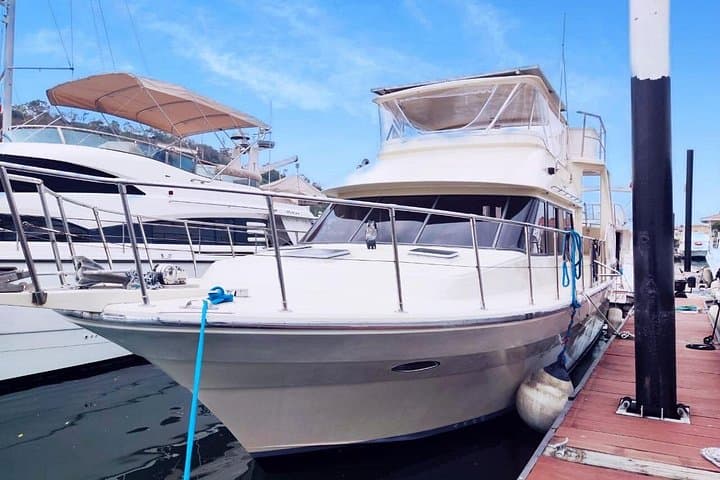 Half-Day Luxury Yacht to Taboga Island from Panama City — Betty Ann Boat Trip
