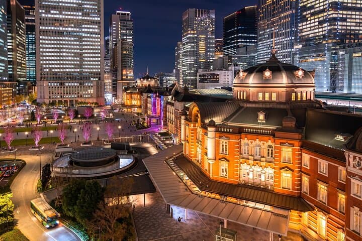 Full-Day Tokyo Private Car Tour with English-Speaking Driver