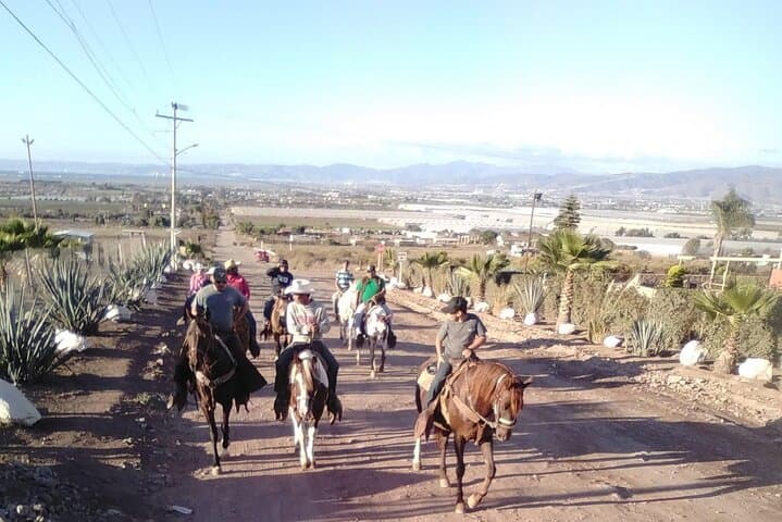 Ensenada Horseback Riding: Beach and Mountain Trails with Local Guide photo 5
