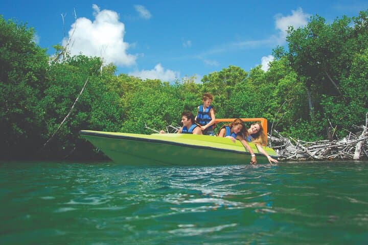 Speed Boat & Snorkeling Jungle Tour in Cancun: Punta Nizuc and Nichupté Lagoon photo 1