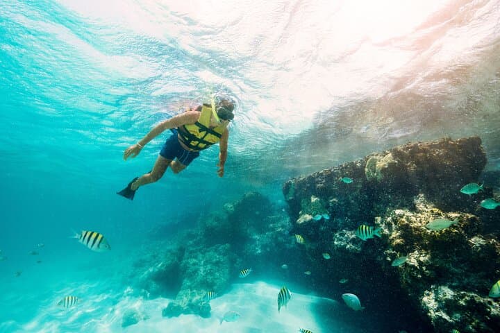 Speed Boat & Snorkeling Jungle Tour in Cancun: Punta Nizuc and Nichupté Lagoon photo 4