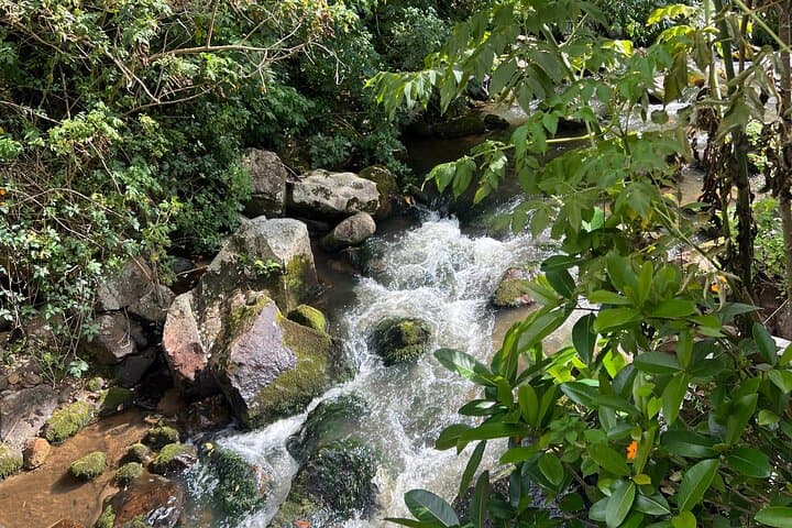 Los Volcanes de Chocontá Hot Springs Day Trip from Bogotá photo 5