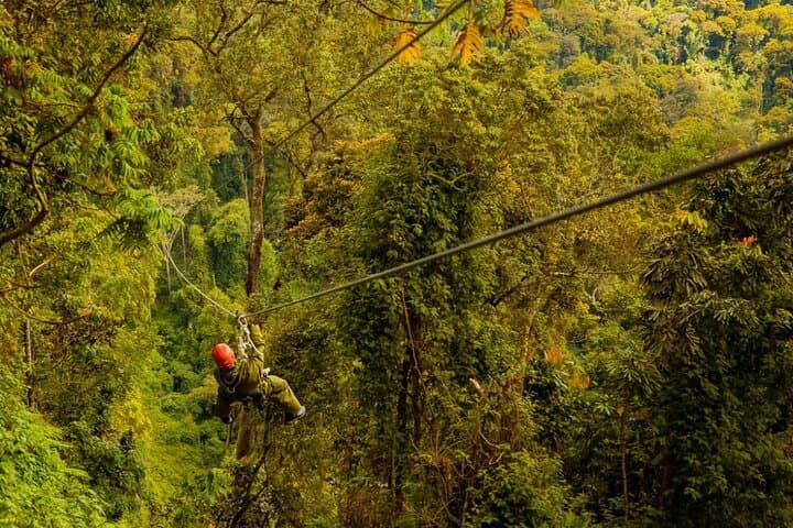 Two-Day Nyungwe National Park: Canopy Walks, Waterfalls & Primate Treks photo 5