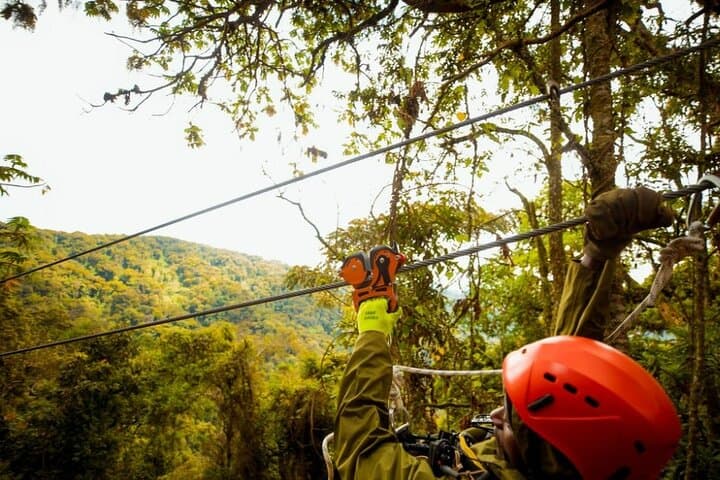 Two-Day Nyungwe National Park: Canopy Walks, Waterfalls & Primate Treks photo 6
