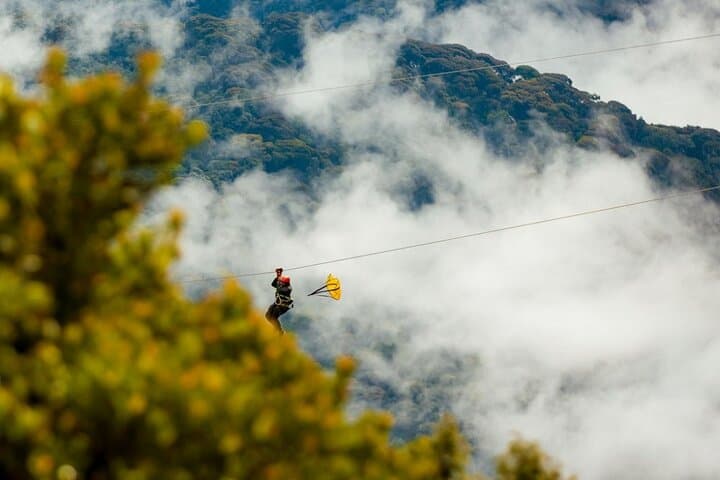 Two-Day Nyungwe National Park: Canopy Walks, Waterfalls & Primate Treks photo 3