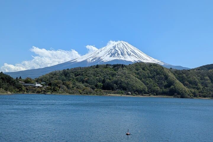 Mount Fuji Day Tour — Fuji's Sacred Circle: Chureito Pagoda, Kawaguchiko & Oshino Hakkai photo 2