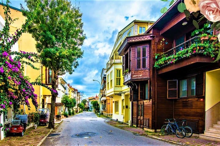 Princes-Island Full-Day Boat Tour with Lunch from Istanbul photo 4