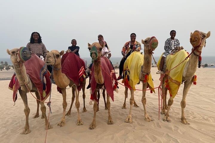 Doha Desert Safari to Sealine: 4x4 Dune Drive & Camel Camp Experience photo 4