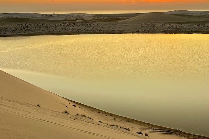 Doha Desert Safari to Sealine: 4x4 Dune Drive & Camel Camp Experience photo 5
