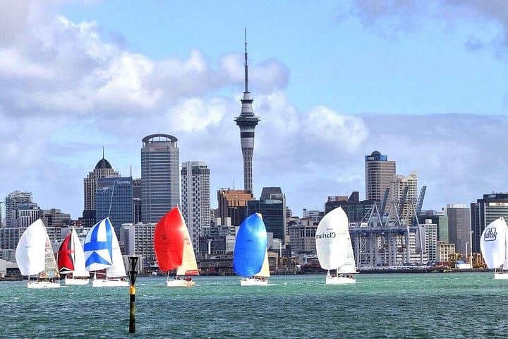 Auckland Half-Day Top Sights: Mount Eden, North Head & Wintergarden Walking Tour photo 1