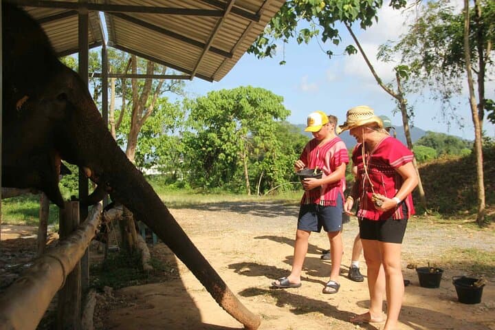 Ethical Half-Day at Phuket Elephant Sanctuary — Feed, Learn, No Riding photo 5