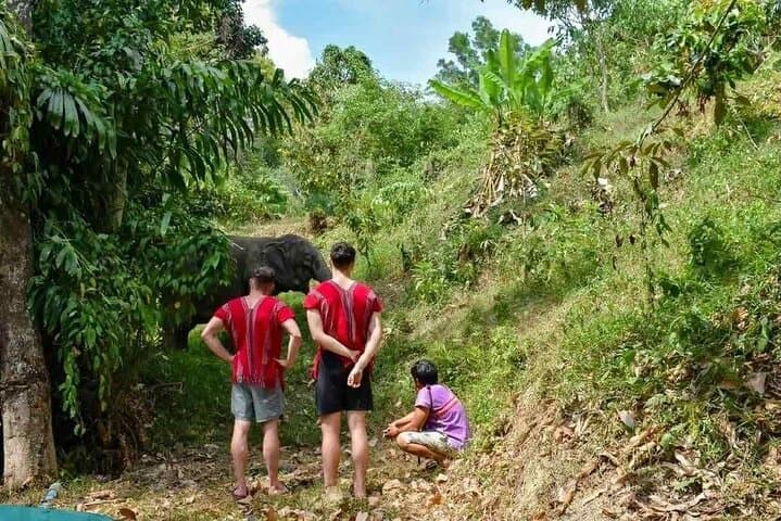 Ethical Half-Day at Phuket Elephant Sanctuary — Feed, Learn, No Riding photo 6