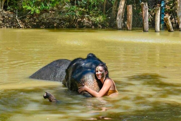 Ethical Half-Day at Phuket Elephant Sanctuary — Feed, Learn, No Riding photo 2
