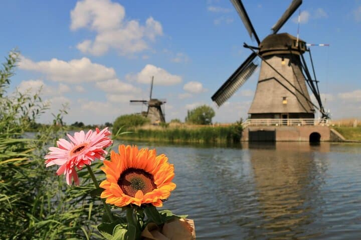 Rotterdam Waterbus: Kinderdijk Windmills & Dordrecht Self-Guided Audio Tour photo 4
