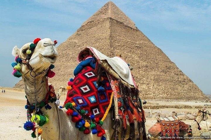 Day Trip from Sharm El-Sheikh to Cairo: Grand Egyptian Museum & Giza Pyramids photo 3