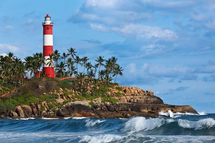 Kerala in Eight Days: Cochin to Kovalam — Backwaters, Hills & Beaches photo 2