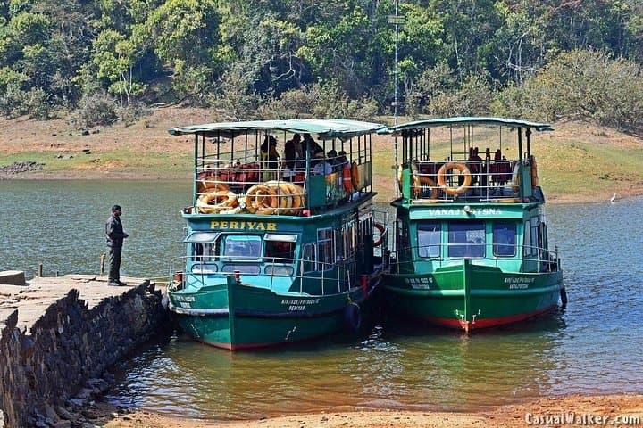 Kerala in Eight Days: Cochin to Kovalam — Backwaters, Hills & Beaches photo 6
