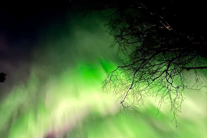 Rovaniemi Aurora BBQ: Best Spots for Northern Lights and Kota Bonfire photo 1