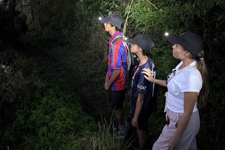 Bali 4x4 Volcano Explorer: Private Mount Batur, Lava Fields & Kintamani Bats photo 2