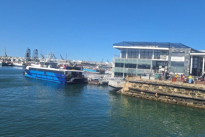 Robben Island Half-Day Tour — Hotel Pickup, Ferry Crossing & Mandela Prison Visit photo 2