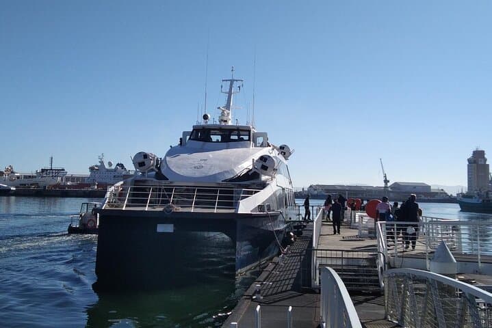 Robben Island Half-Day Tour — Hotel Pickup, Ferry Crossing & Mandela Prison Visit photo 6