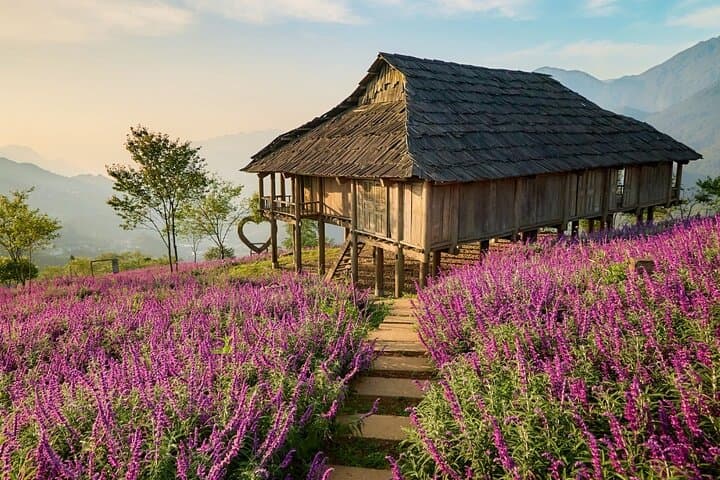 Fansipan Summit by Cable Car: Photos on the Clouds from Sapa photo 5